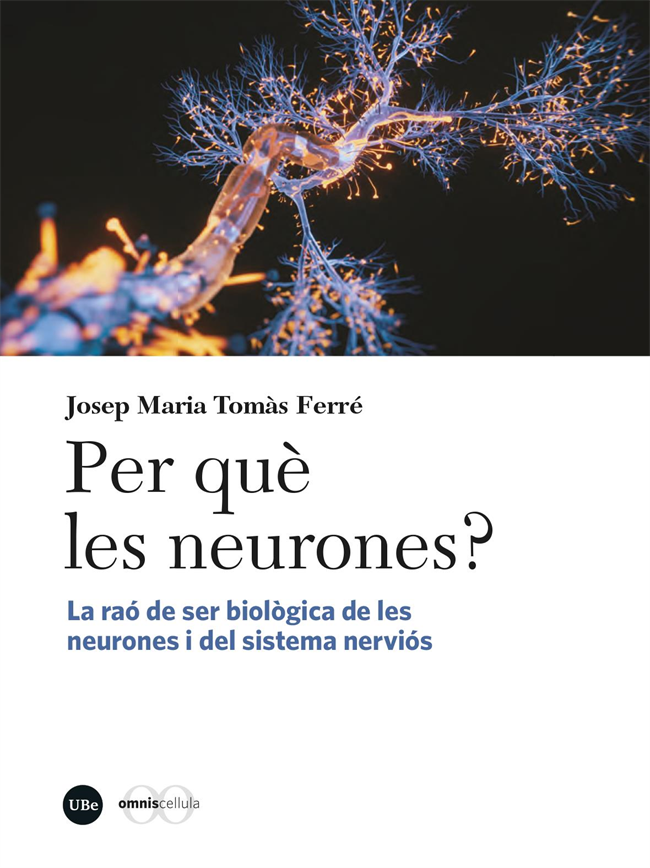 Per què les neurones?