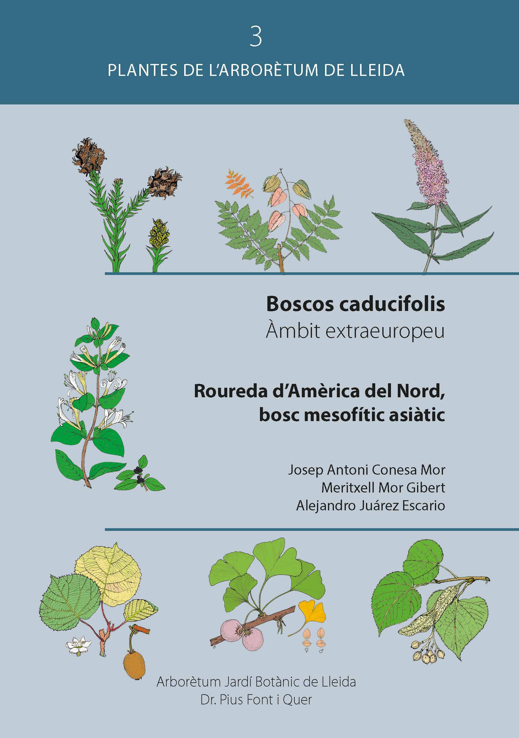 Boscos caducifolis: àmbit extraeuropeu